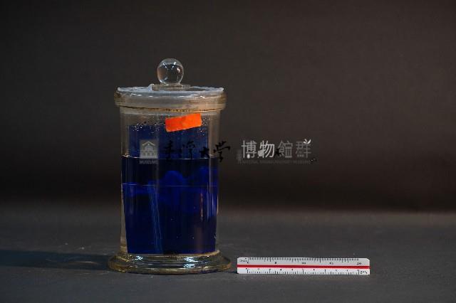 哺乳類的子宮與胚胎藏品圖，第3張