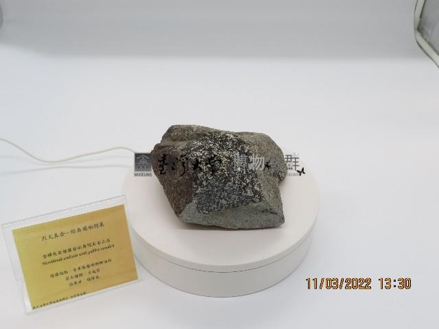 含輝長石捕獲岩的角閃石安山岩藏品圖，第1張