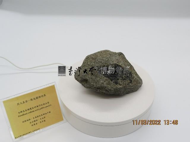 含輝長岩捕獲岩的角閃石安山岩藏品圖，第1張