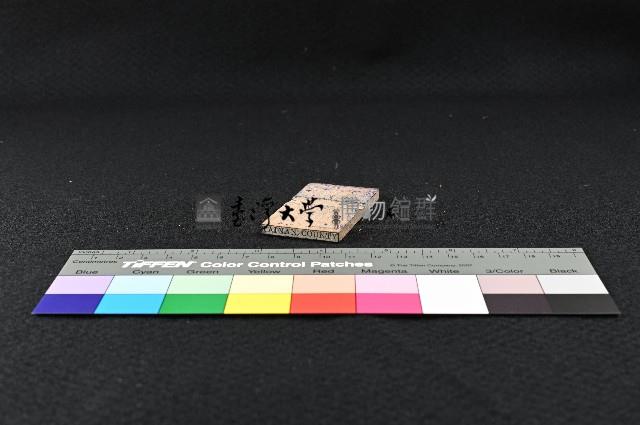 國立臺灣大學植物標本館營運管理使用印章組藏品圖，第148張