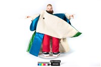 布袋戲偶藏品圖，第3張