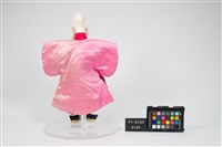 布袋戲偶-白闊藏品圖，第2張