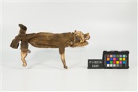 布袋戲偶-老虎藏品圖，第2張