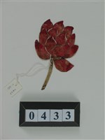 中國皮影藏品圖，第2張