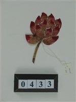 中國皮影藏品圖，第1張