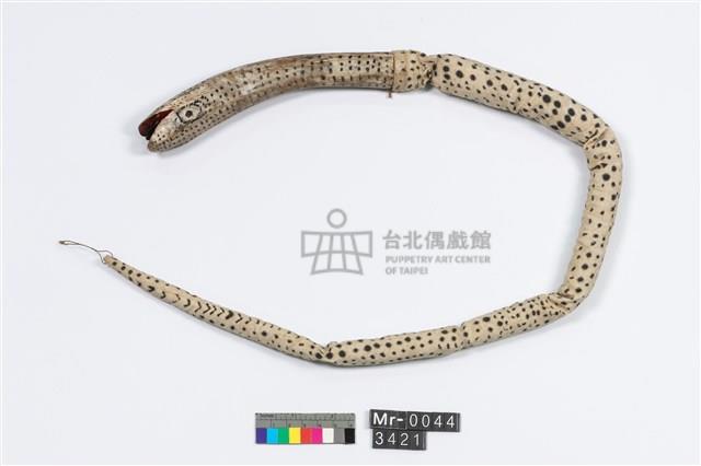 蛇藏品圖，第2張