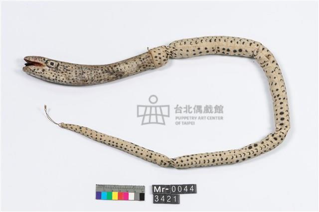 蛇藏品圖，第1張