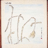 登錄號:2014E0010107藏品圖，第1張