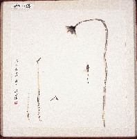 登錄號:2014E0010214藏品圖，第1張