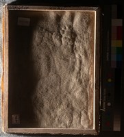 油畫藏品圖，第5張