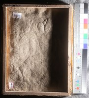 油畫藏品圖，第6張