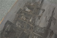 油畫藏品圖，第10張