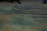 油畫藏品圖，第8張