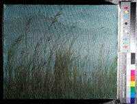 油畫藏品圖，第3張