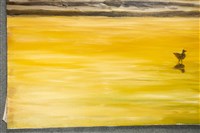 油畫藏品圖，第14張