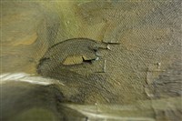 油畫藏品圖，第14張