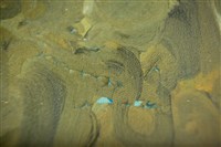 油畫藏品圖，第15張