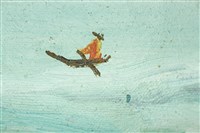 油畫藏品圖，第18張