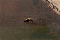 油畫藏品圖，第17張