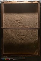 油畫藏品圖，第7張