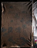 油畫藏品圖，第3張