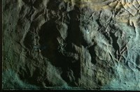 油畫藏品圖，第7張