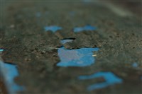 油畫藏品圖，第10張