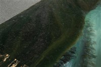 油畫藏品圖，第12張