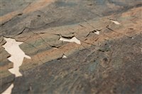 油畫藏品圖，第9張