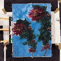 油畫藏品圖，第1張