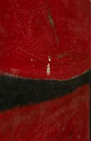 油畫藏品圖，第9張