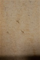 油畫藏品圖，第10張