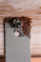 油畫藏品圖，第13張