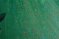 油畫藏品圖，第12張