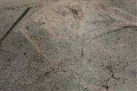 油畫藏品圖，第16張