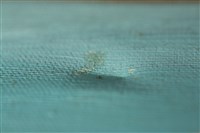 油畫藏品圖，第10張