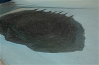 油畫藏品圖，第15張