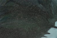 油畫藏品圖，第17張