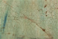 油畫藏品圖，第16張