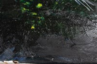 油畫藏品圖，第9張