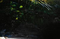 油畫藏品圖，第10張