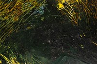 油畫藏品圖，第12張