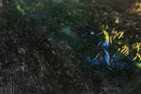 油畫藏品圖，第13張