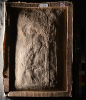 油畫藏品圖，第6張