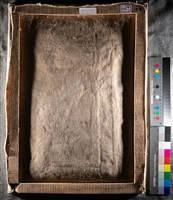 油畫藏品圖，第8張