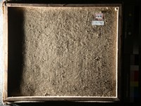 油畫藏品圖，第7張