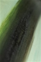 油畫藏品圖，第12張