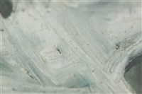 油畫藏品圖，第13張