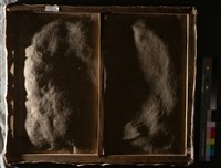 油畫藏品圖，第9張