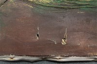 油畫藏品圖，第11張